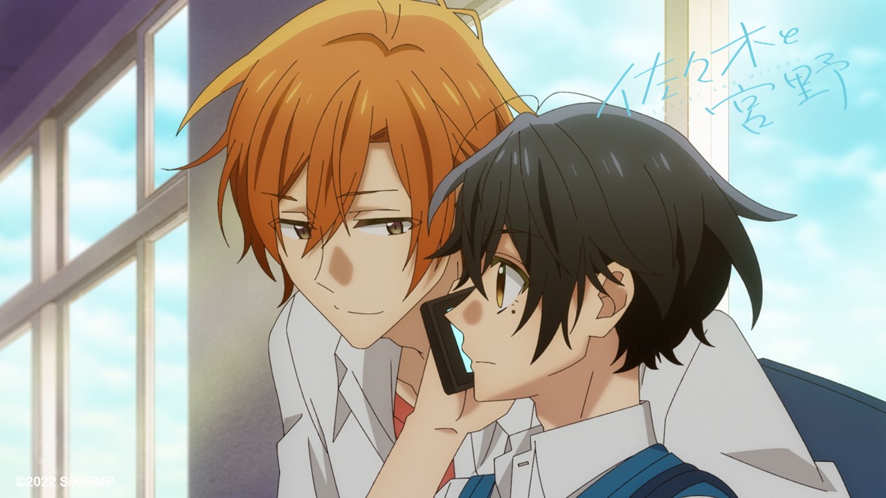 Sasaki and Miyano