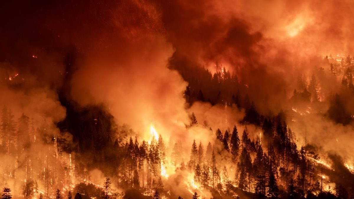 T-Mobile and Starlink collaborate for Los Angeles wildfire