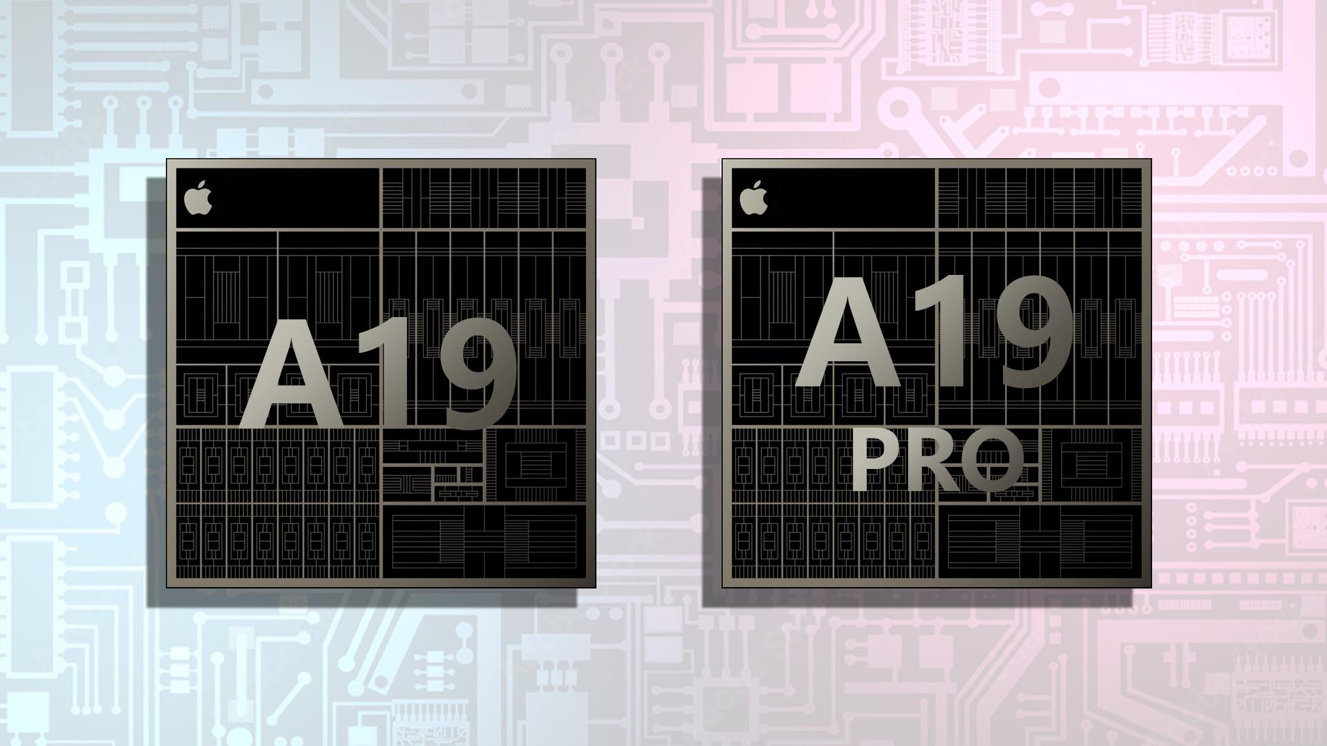 Which of Apple's A19 and A19 Pro will be found in which iPhone 17 model?