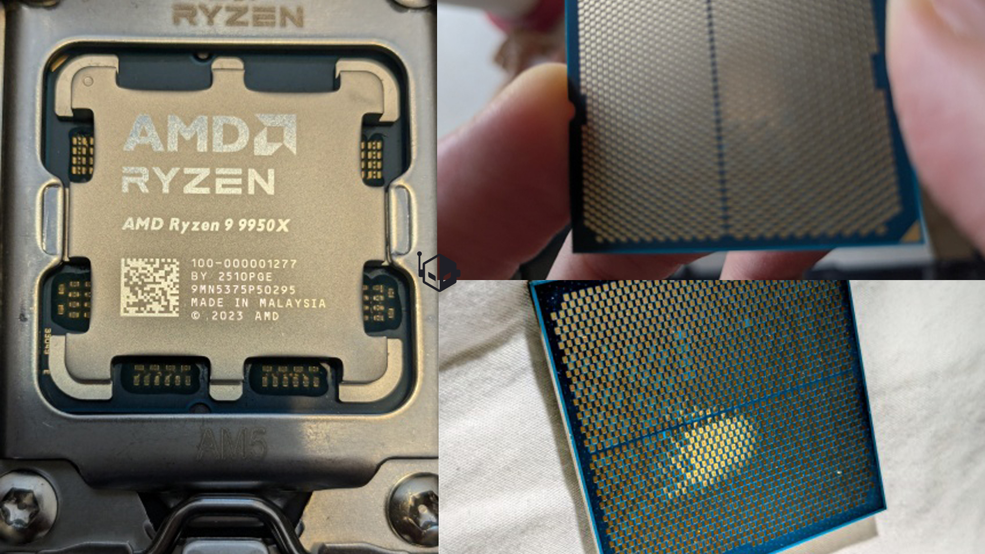 AMD Ryzen 9 9950X processor resting in AM5 socket with gold pin grid visible.