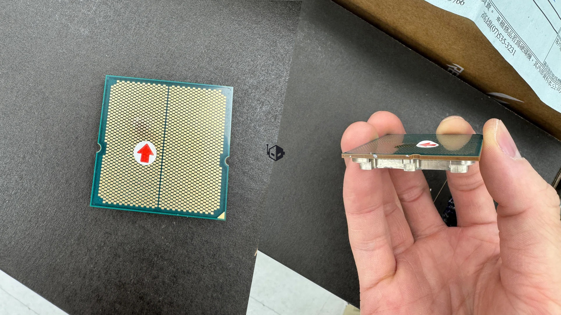 An Intel Xeon processor is held in a hand, showing its contact pins and a red arrow sticker indicating orientation.