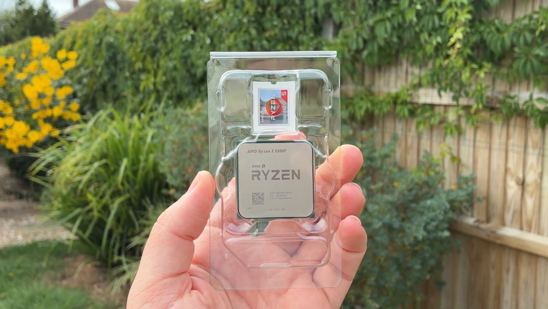 A hand holding an AMD Ryzen 5 5500F in its packaging in a garden setting.
